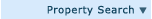 Property Search